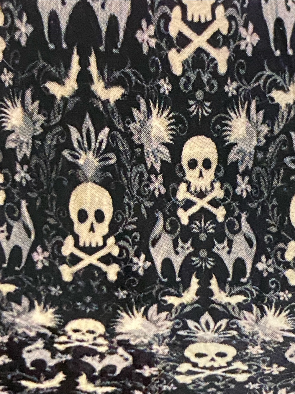 NWT Skull & Crossbones Plush Throw